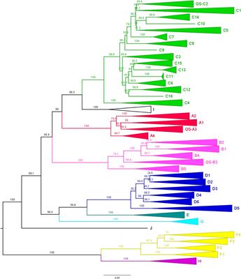 Comprehensive Analysis of Clinically Significant Hepatitis B Virus Mutations in Relation to Genotype, Subgenotype and Geographic Region